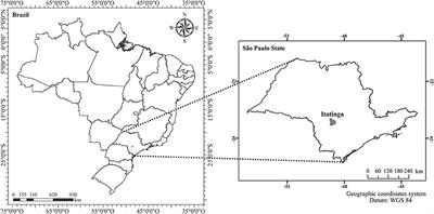 Acacia Changes Microbial Indicators and Increases C and N in Soil Organic Fractions in Intercropped Eucalyptus Plantations